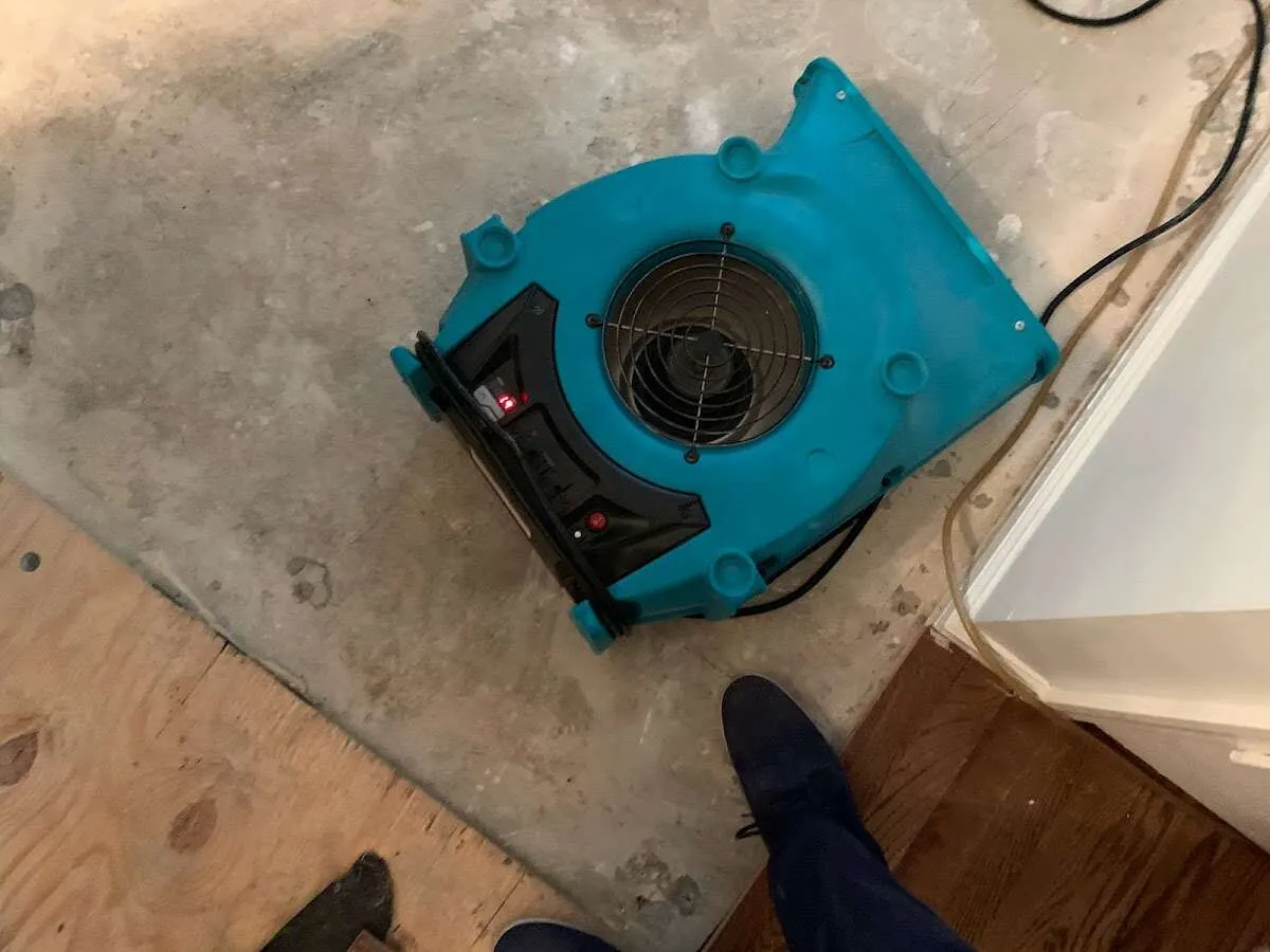 Air mover drying subfloor during Leak Detection & Repair in Owego
